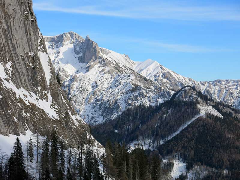 Buchbergkogel